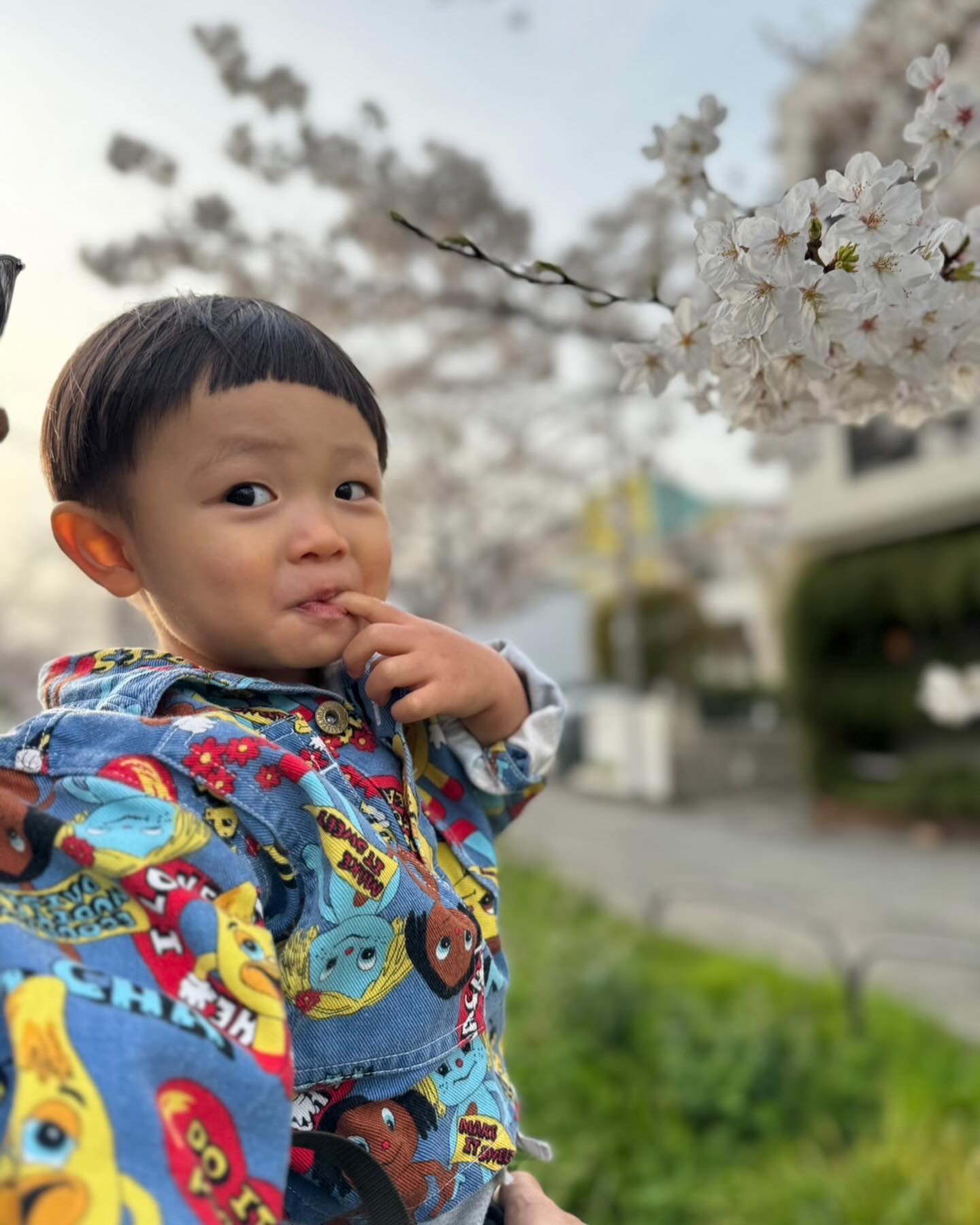 東京でのお花見は今日までって感じでしょうか